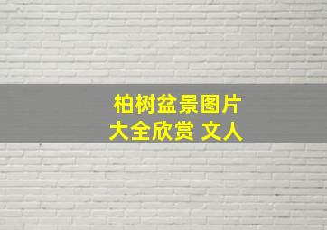 柏树盆景图片大全欣赏 文人